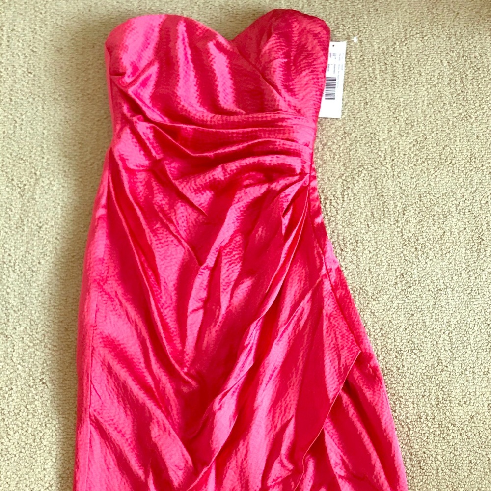Badgely Mischka Dress (Brand New)